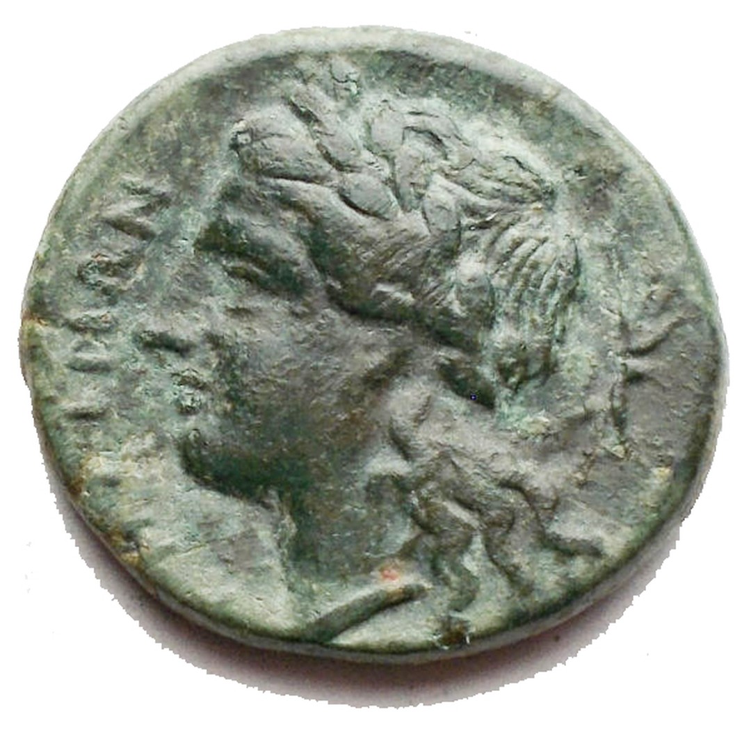 Dritto moneta