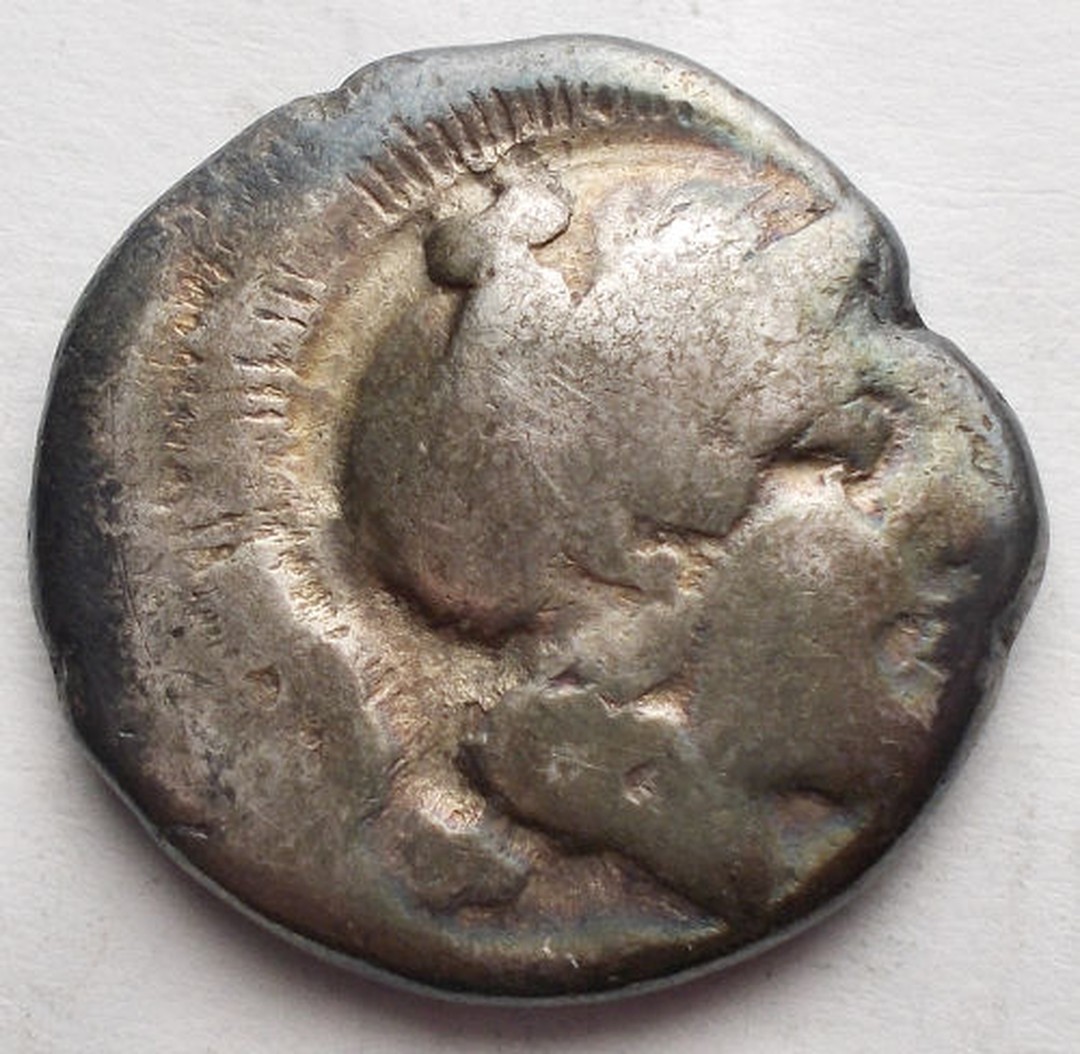 Immagine aggiuntiva 1