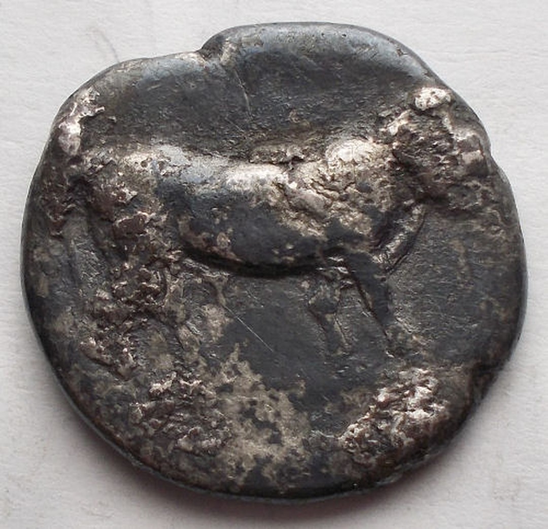 Immagine aggiuntiva 2