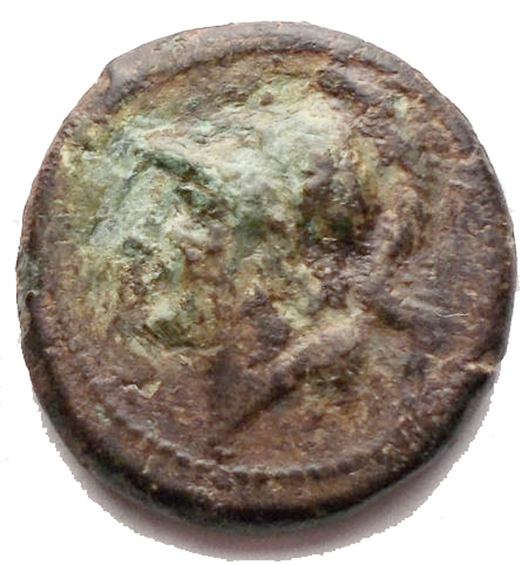 Dritto moneta