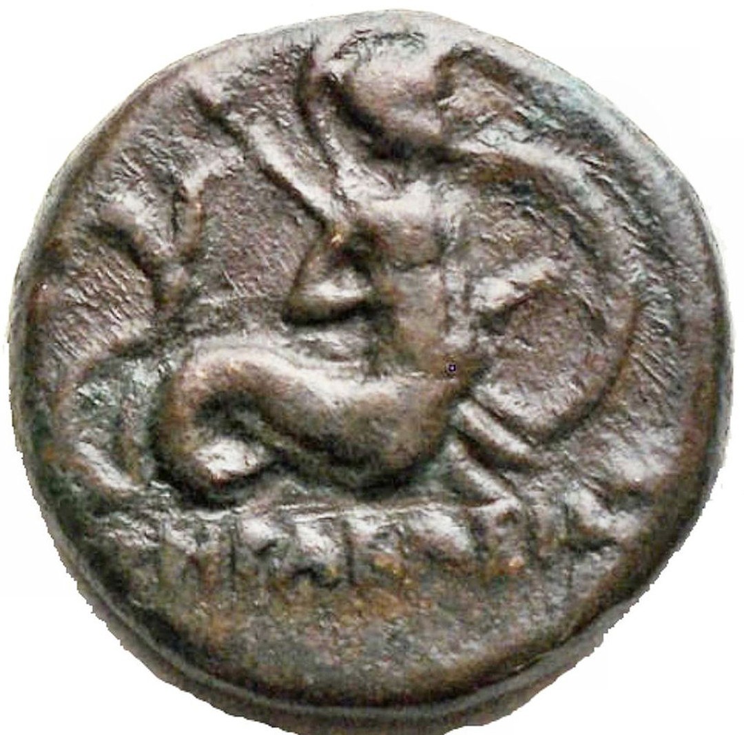 Rovescio moneta