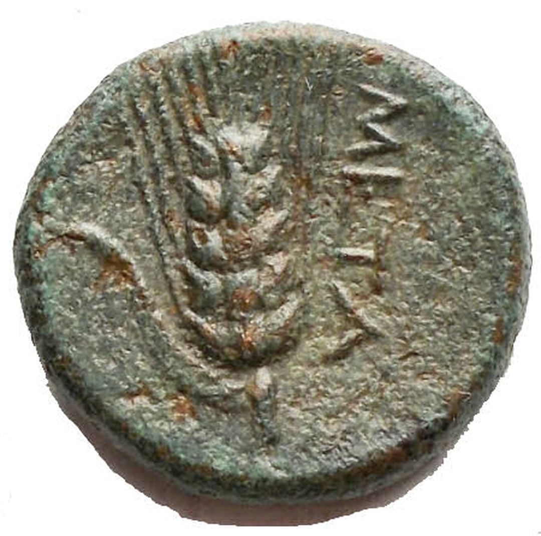 Dritto moneta