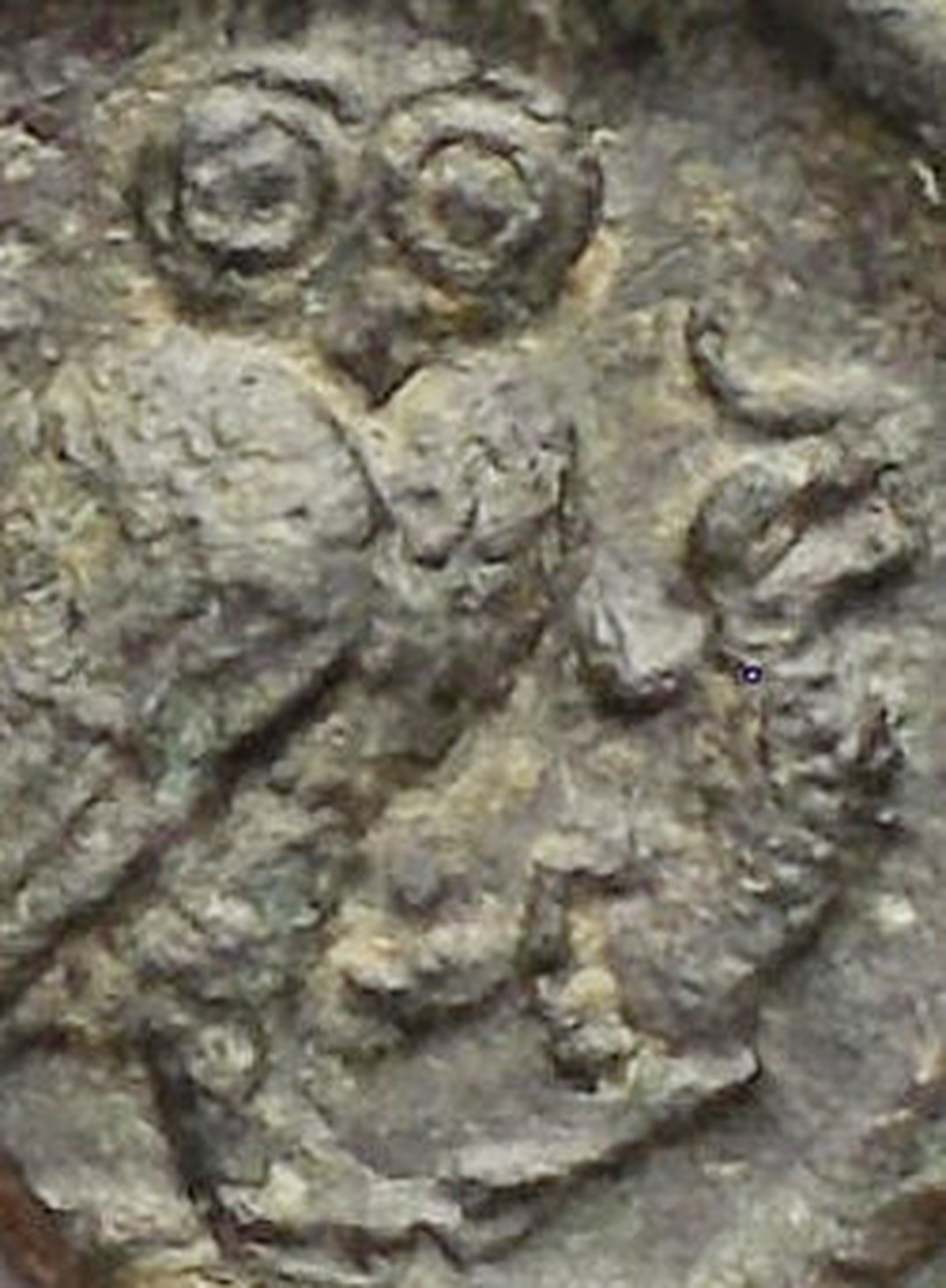 Immagine aggiuntiva 2