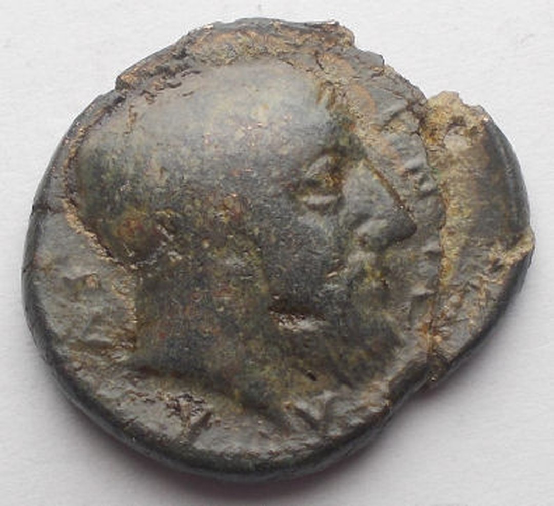 Immagine aggiuntiva 1