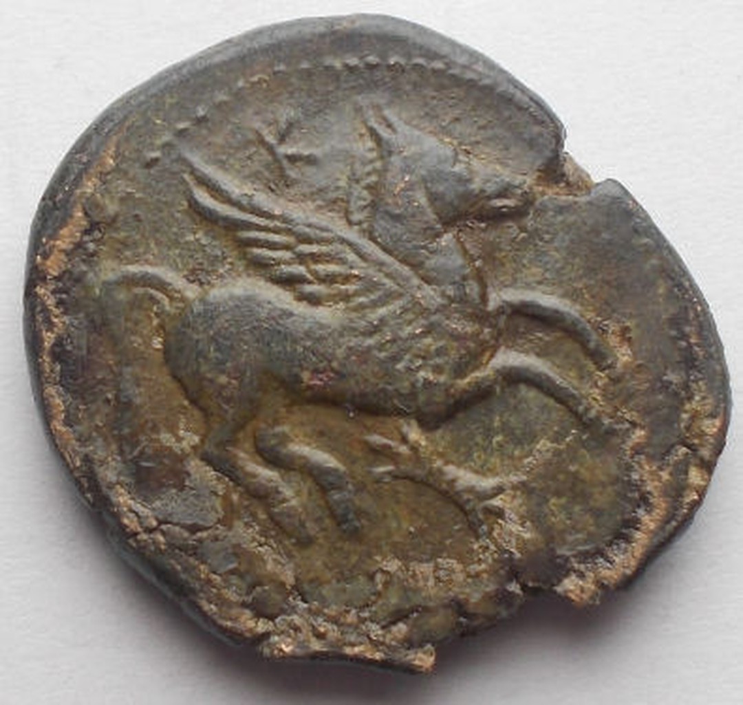 Immagine aggiuntiva 2