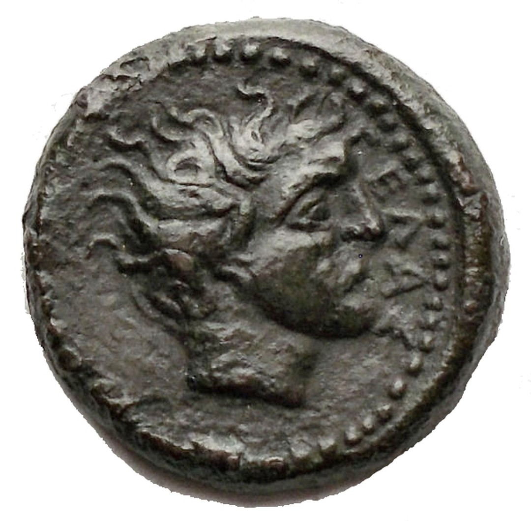 Dritto moneta