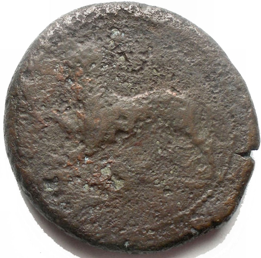 Rovescio moneta