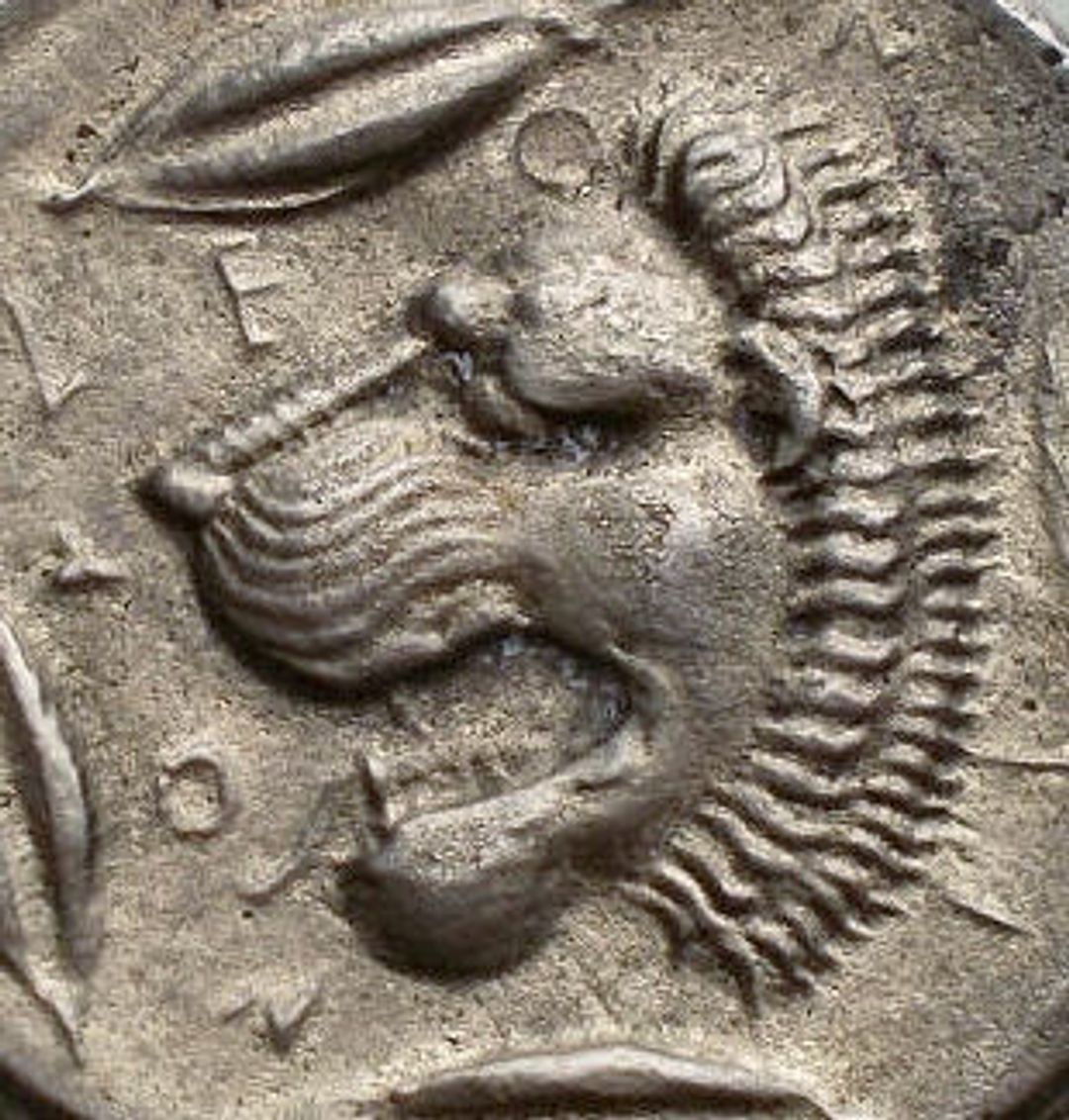 Immagine aggiuntiva 2