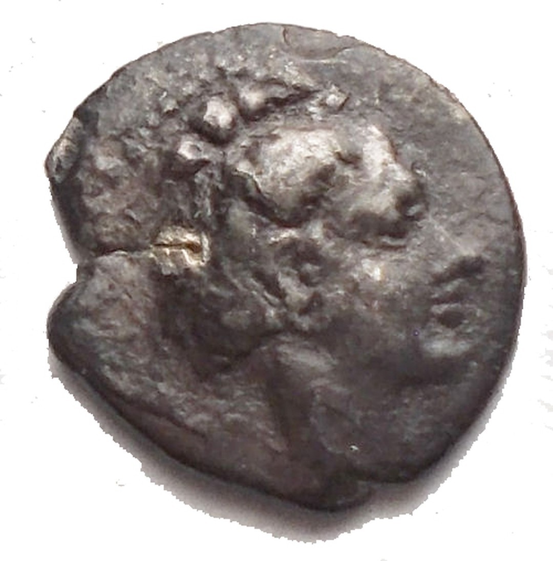 Dritto moneta