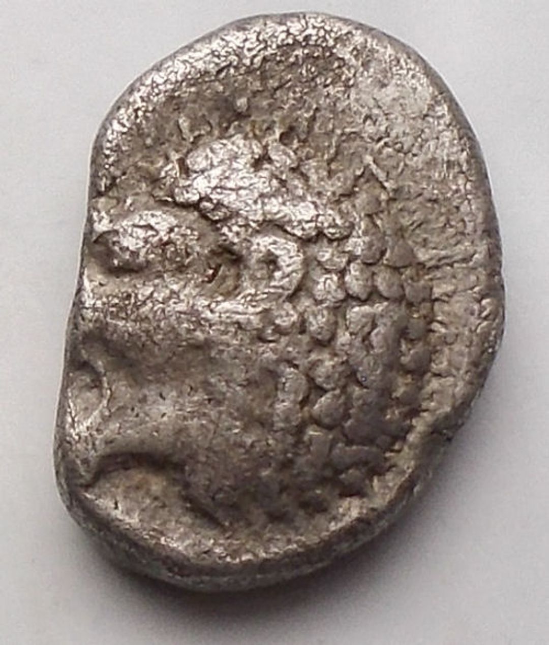 Immagine aggiuntiva 1