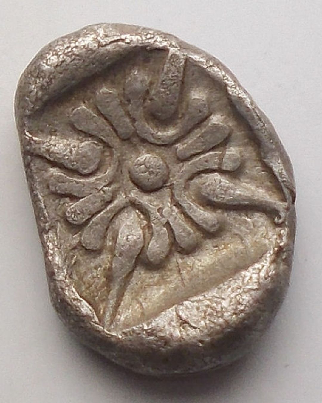 Immagine aggiuntiva 2