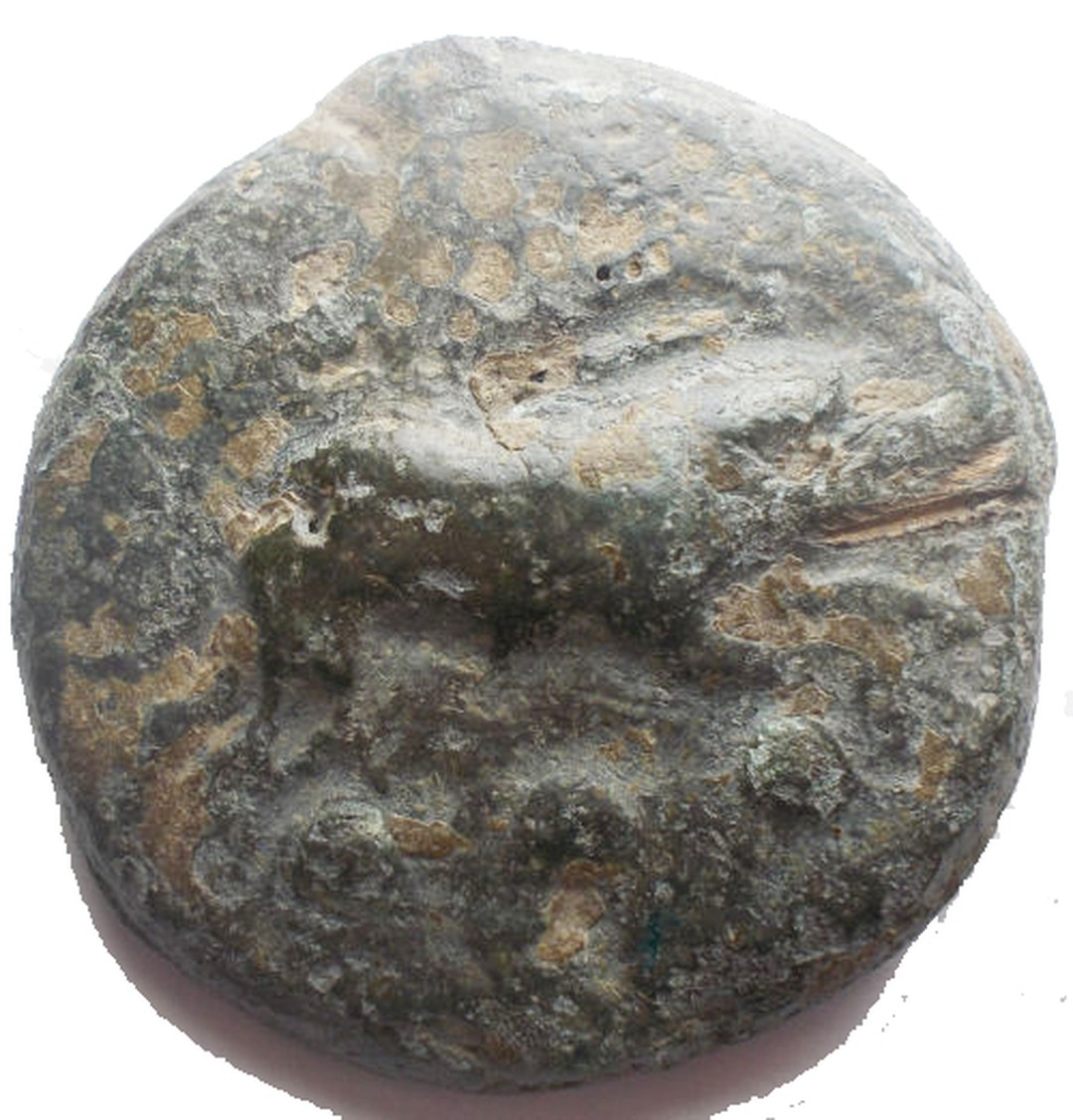 Dritto moneta