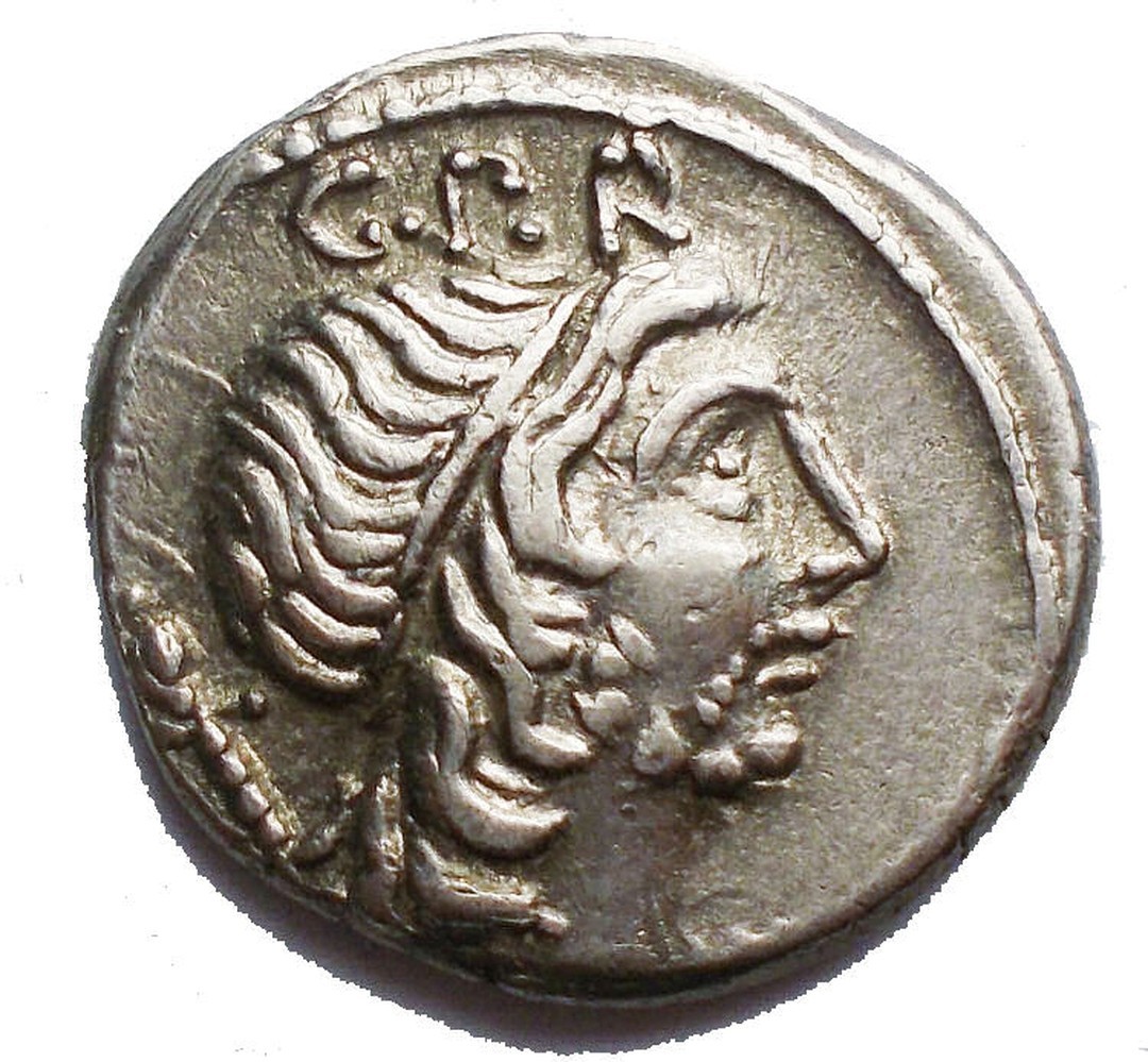 Dritto moneta