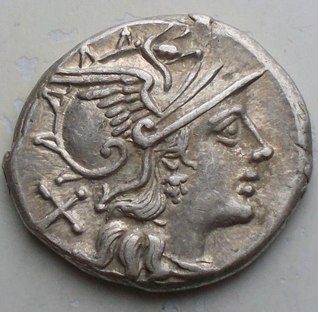 Immagine aggiuntiva 1