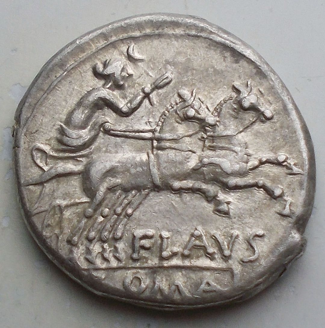 Immagine aggiuntiva 2