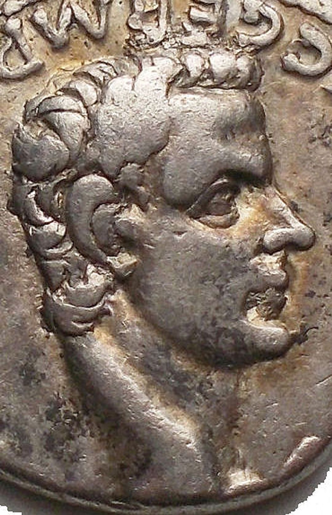 Immagine aggiuntiva 1