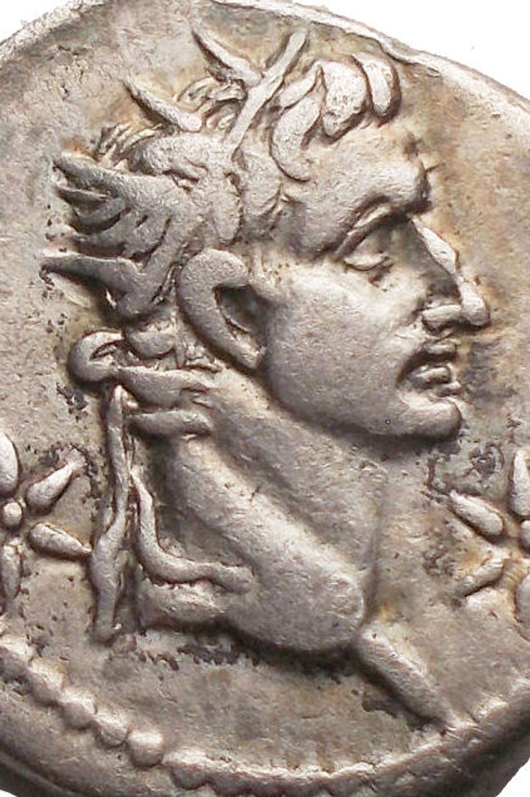 Immagine aggiuntiva 2