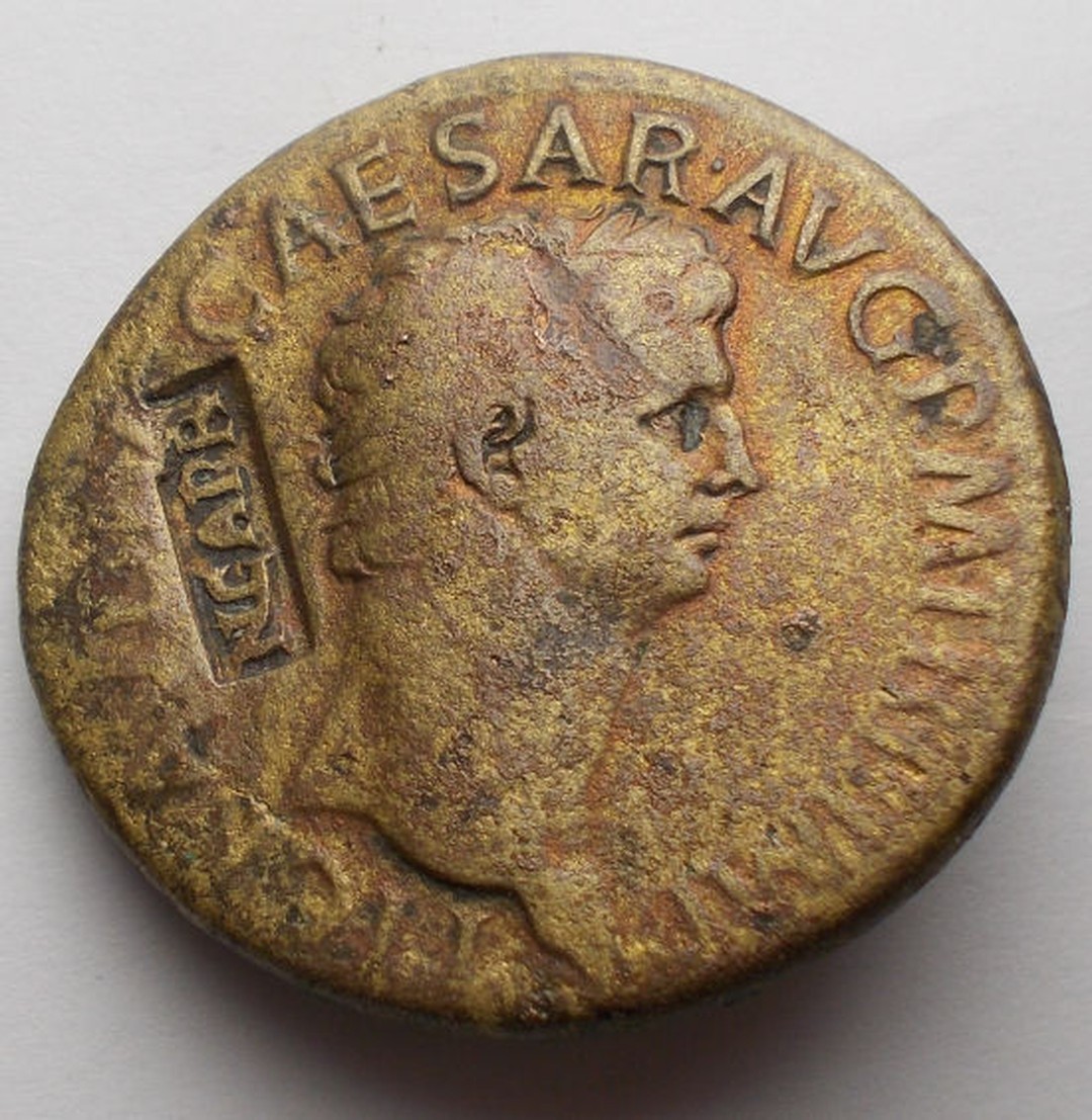 Immagine aggiuntiva 1