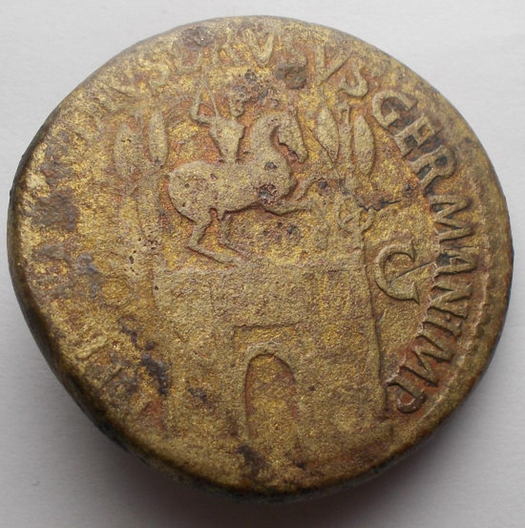 Immagine aggiuntiva 2