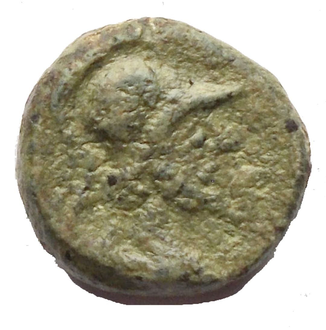 Dritto moneta