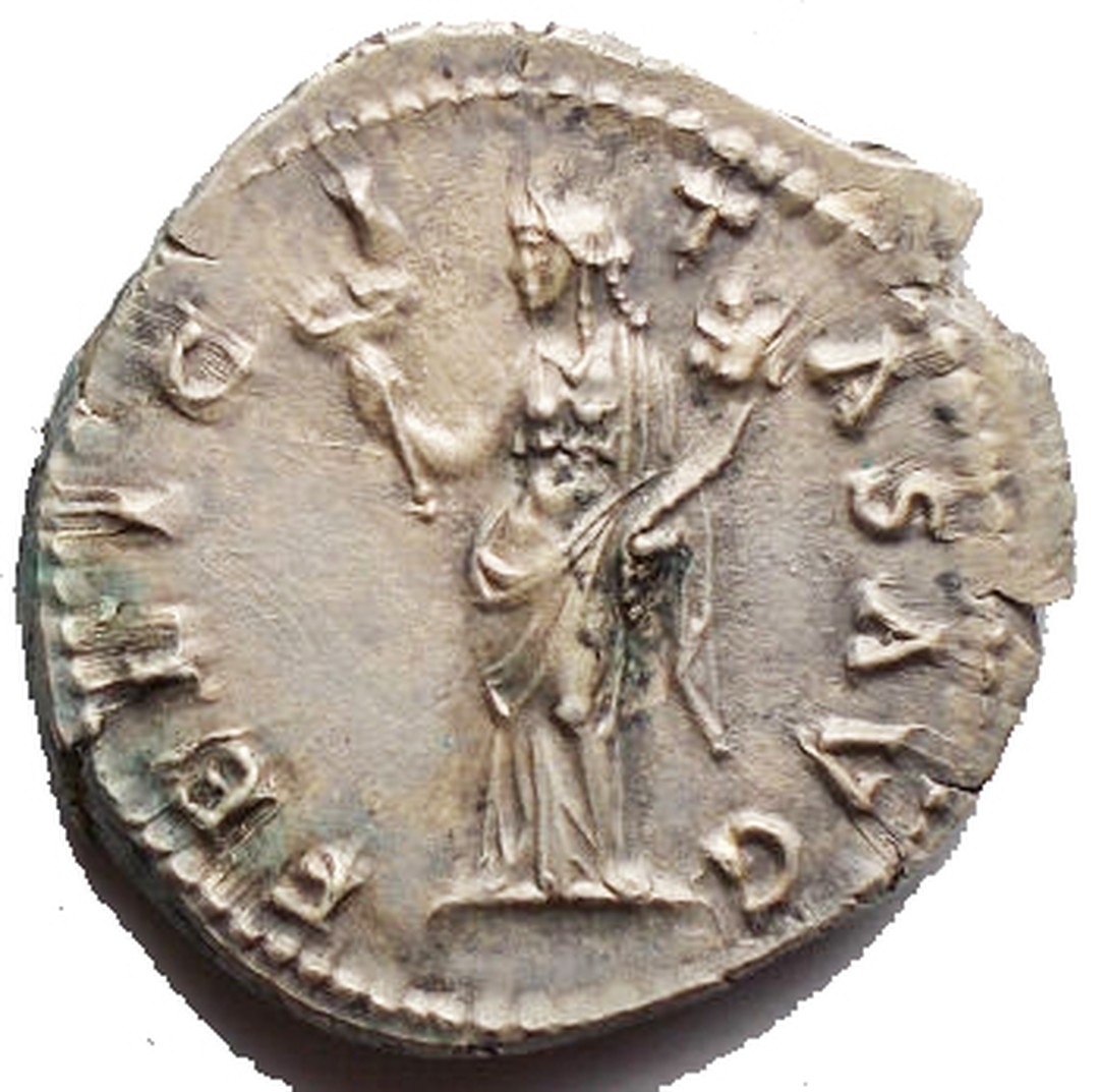 Rovescio moneta