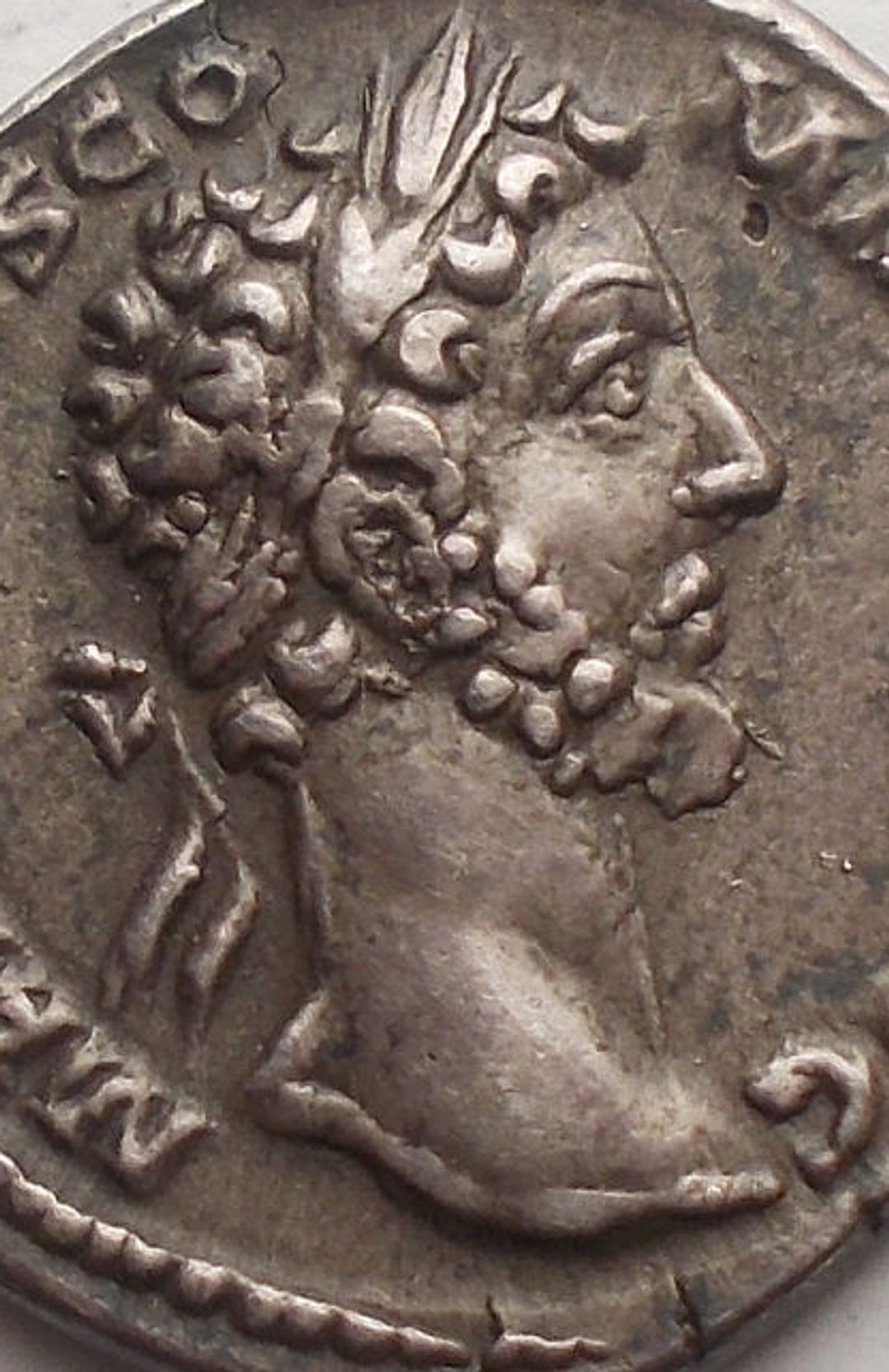 Immagine aggiuntiva 1