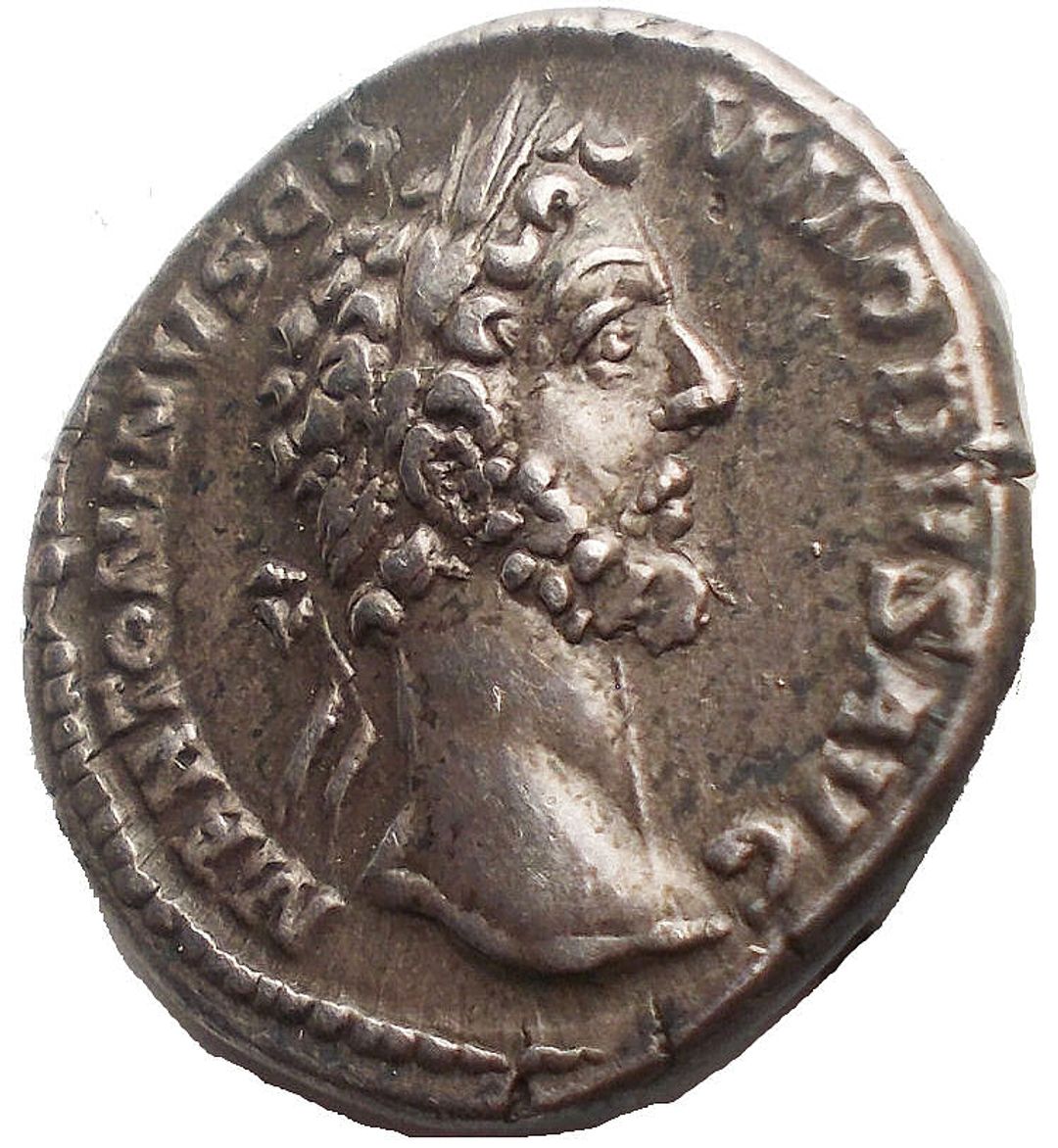 Immagine aggiuntiva 2