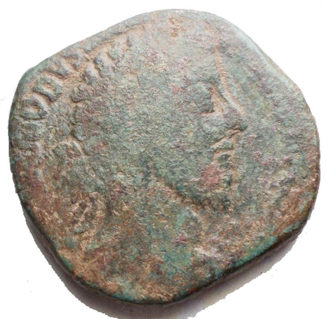 Immagine aggiuntiva 1