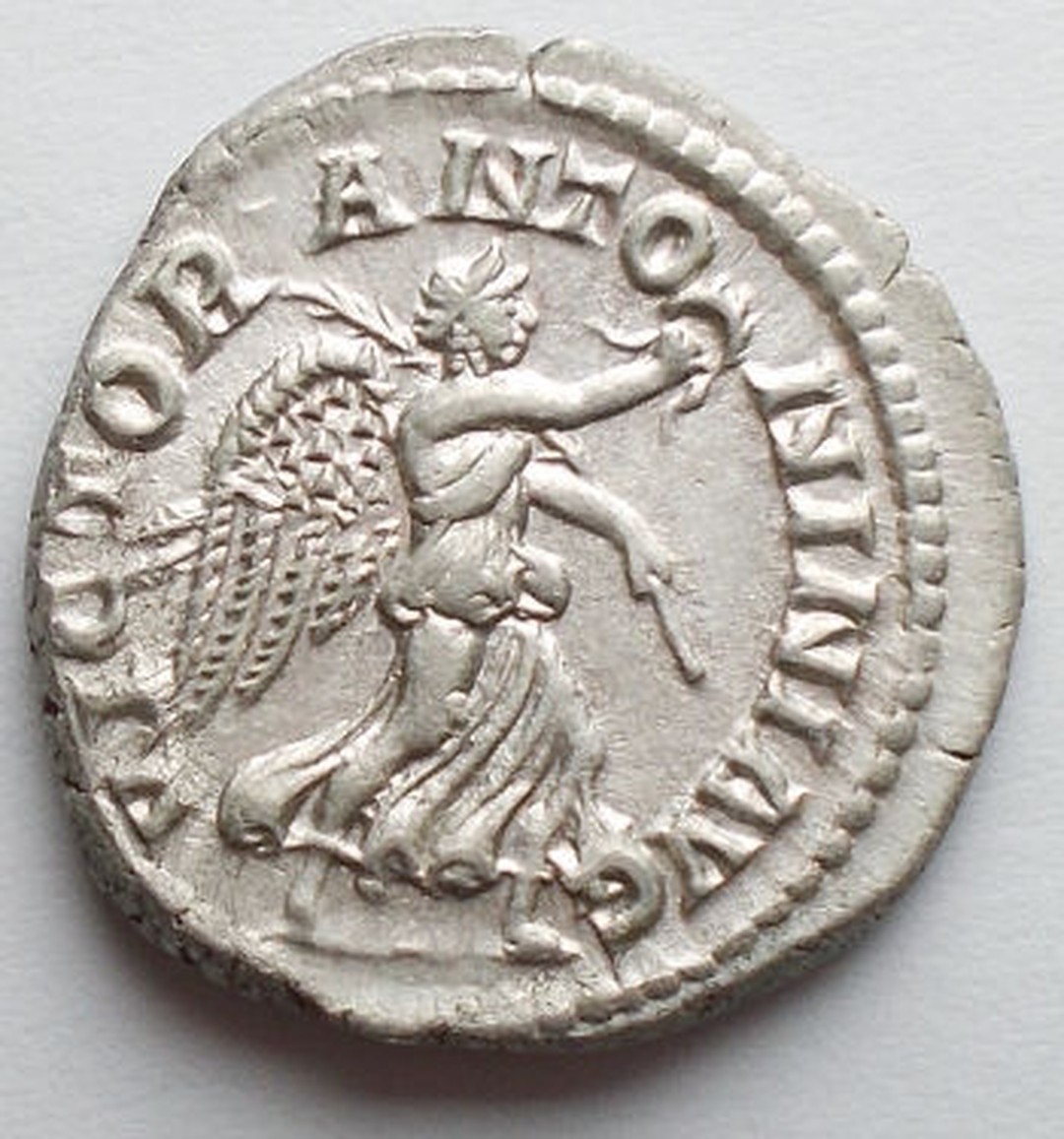Rovescio moneta
