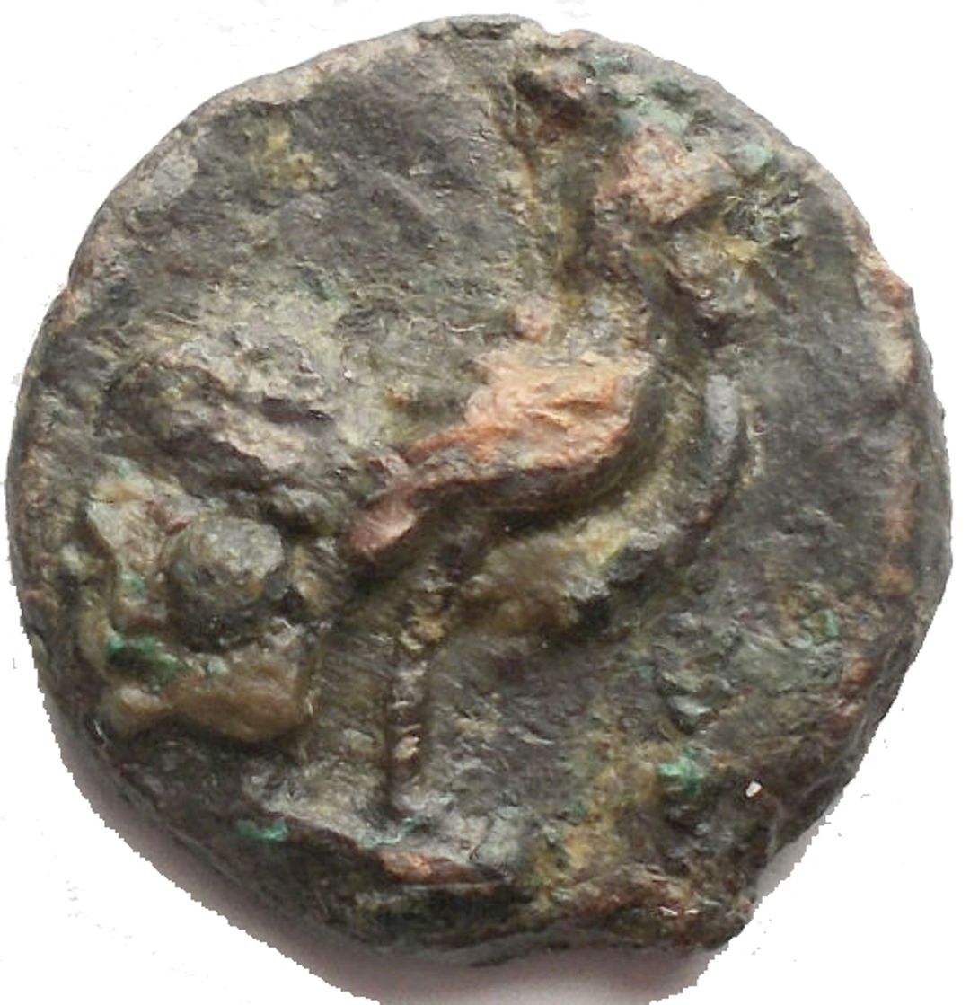Rovescio moneta