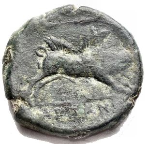 Reverse image
