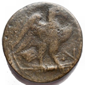 Reverse image