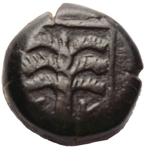 Reverse image