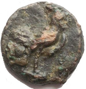 Reverse image