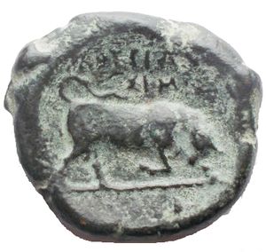 Reverse image