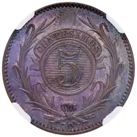 Rovescio