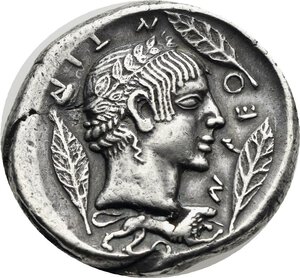 Reverse image