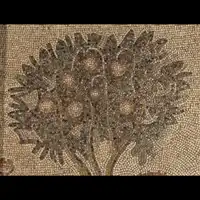 img-3
