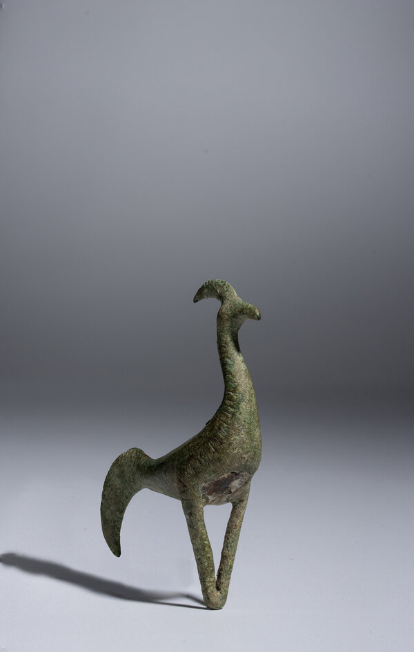 Immagine aggiuntiva 1