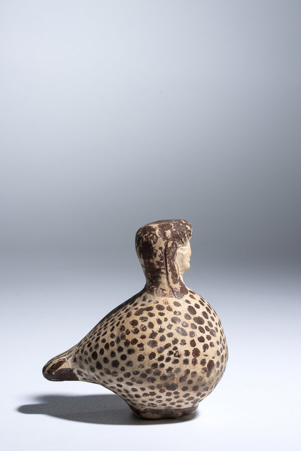 Immagine aggiuntiva 2