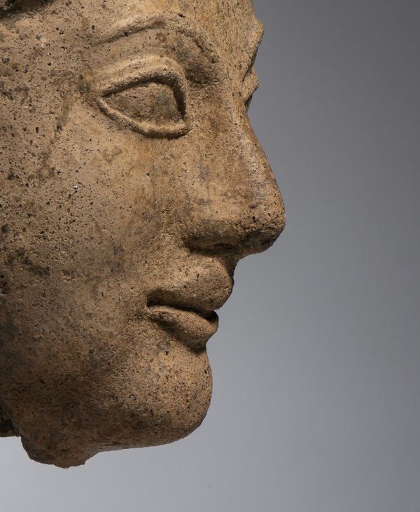 Immagine aggiuntiva 2