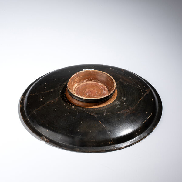 Immagine aggiuntiva 1