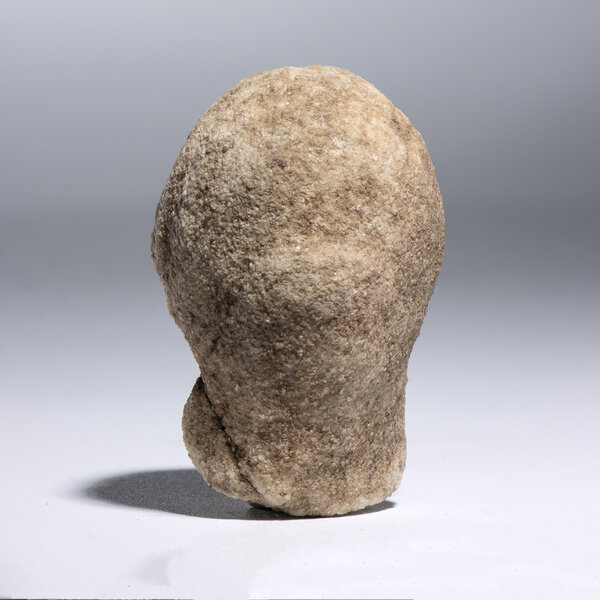 Immagine aggiuntiva 2