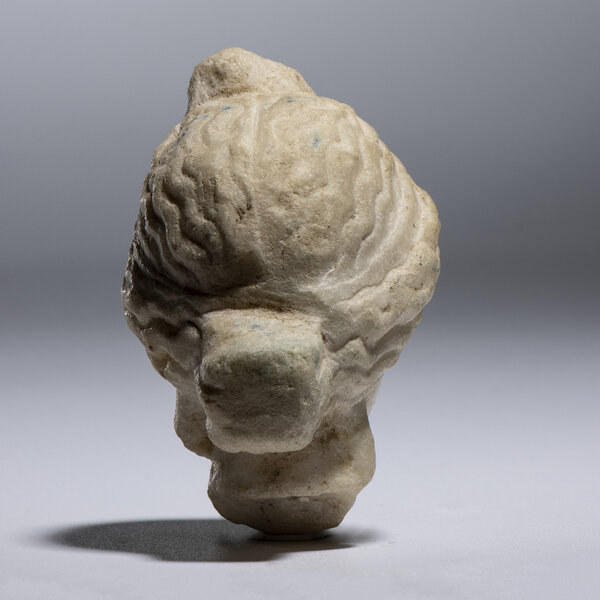 Immagine aggiuntiva 4