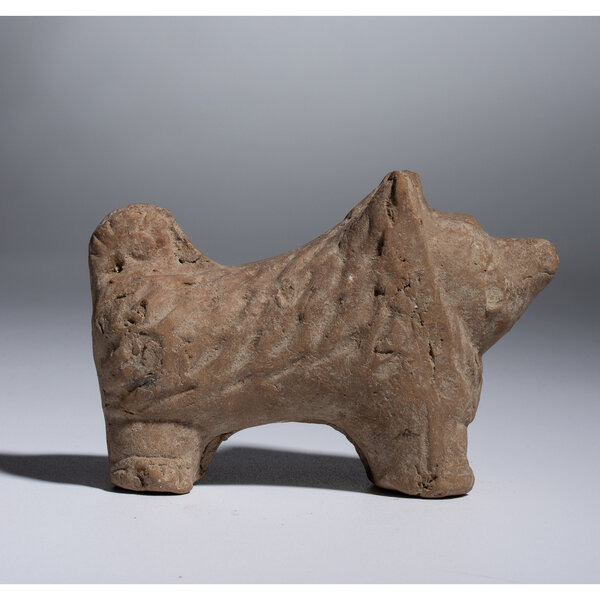 Immagine aggiuntiva 1