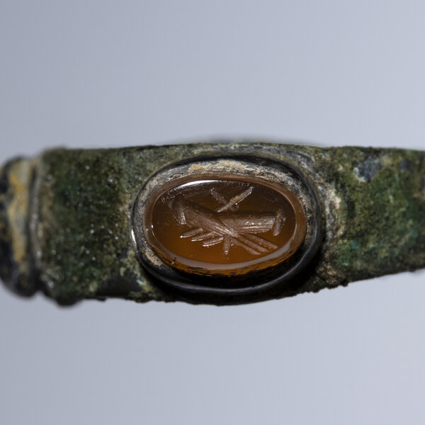 Immagine aggiuntiva 4