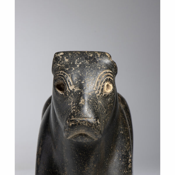 Immagine aggiuntiva 1