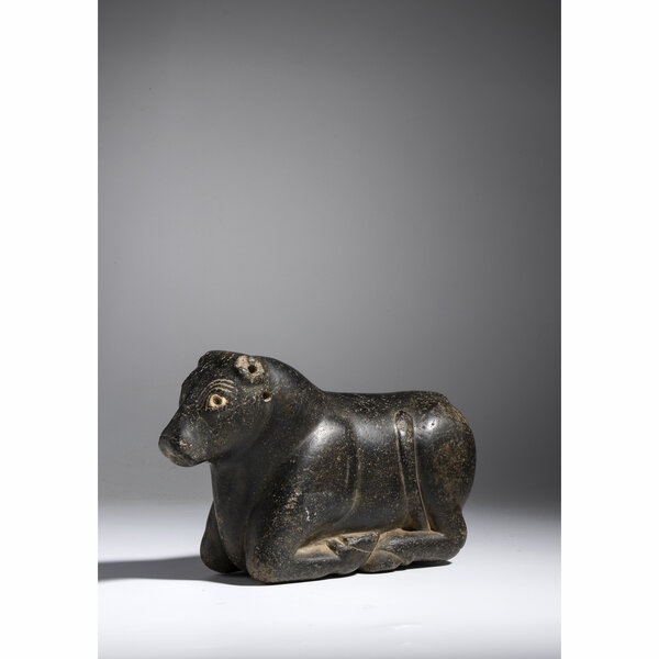 Immagine aggiuntiva 2