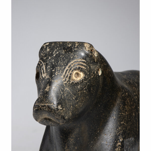 Immagine aggiuntiva 3