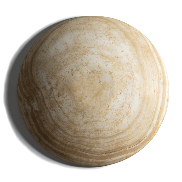 Immagine aggiuntiva 6